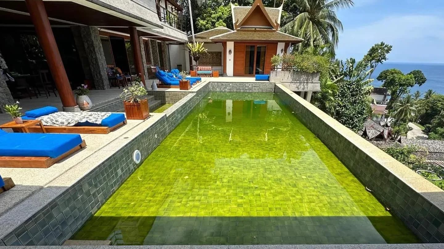 Sea-view pool with swim-up bar before renovation