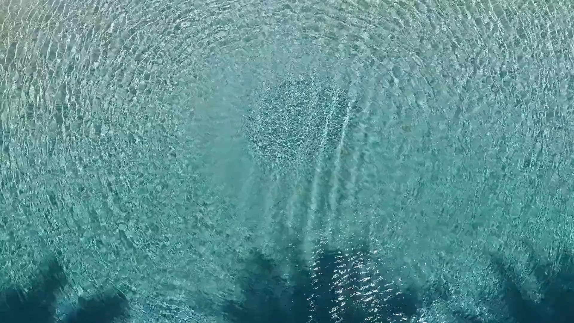 Palm-frond shadows drifting over shimmering water above a white pebble finish